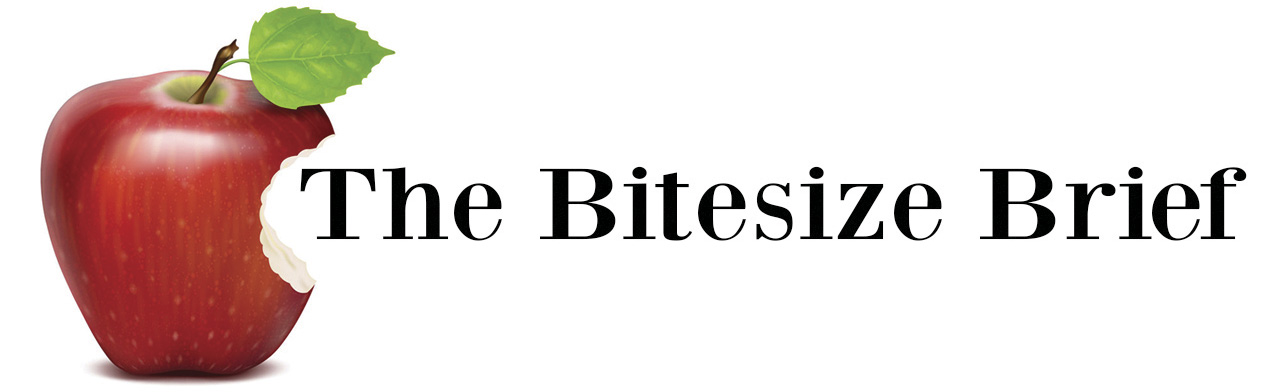 The Bitesize Brief The Bitesize Brief Image